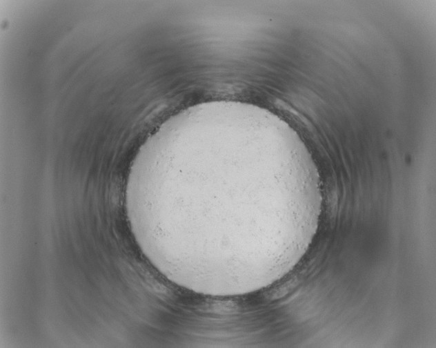 X0000088180665200706121652