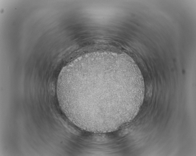 X0000088180666200706121652