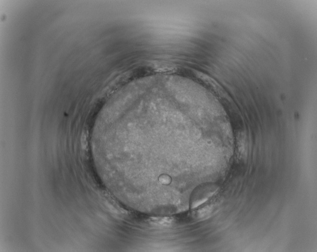 X0000088180667200706121652