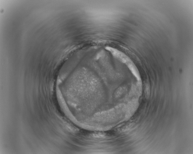 X0000088180668200706121652