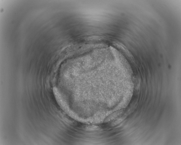 X0000088180669200706121652