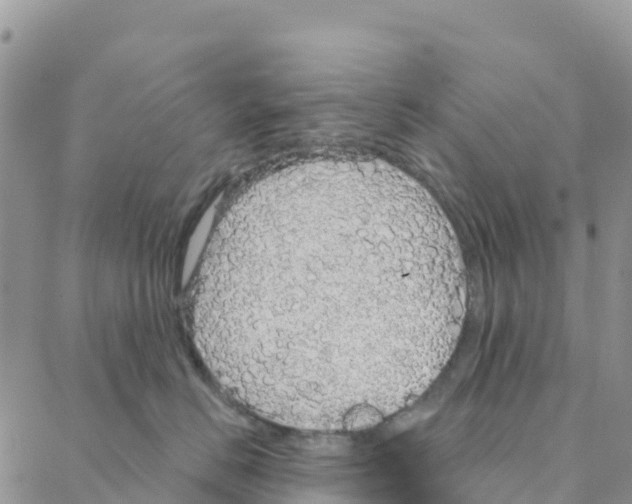 X0000088180670200706121652