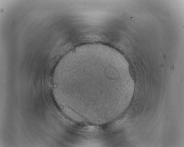 X0000088180672200706121652