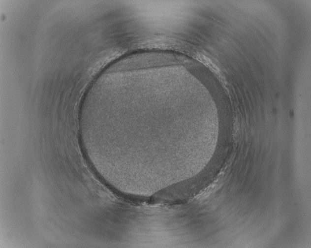 X0000088180673200706121651