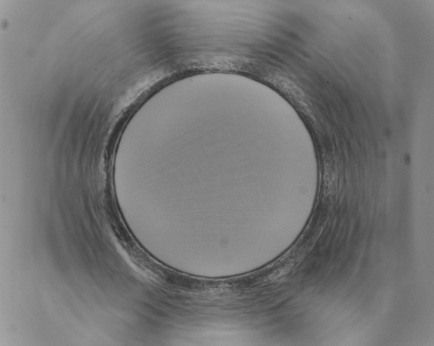 X0000088180674200706121651