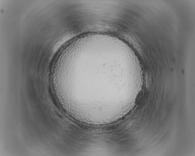 X0000088180675200706121651