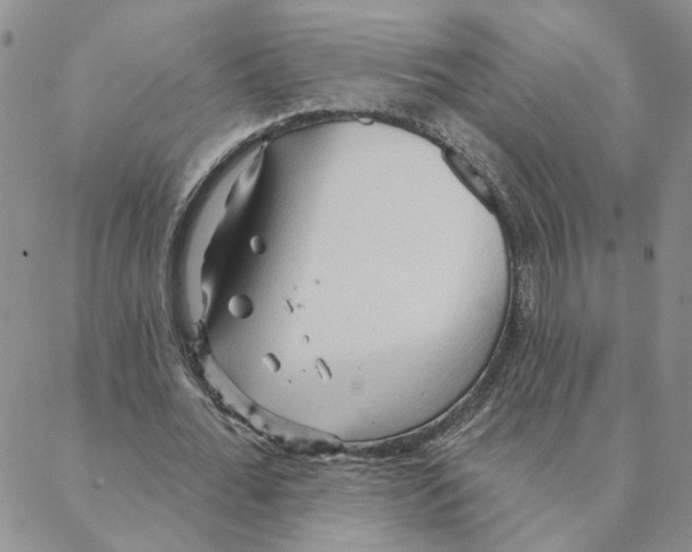 X0000088180676200706121651