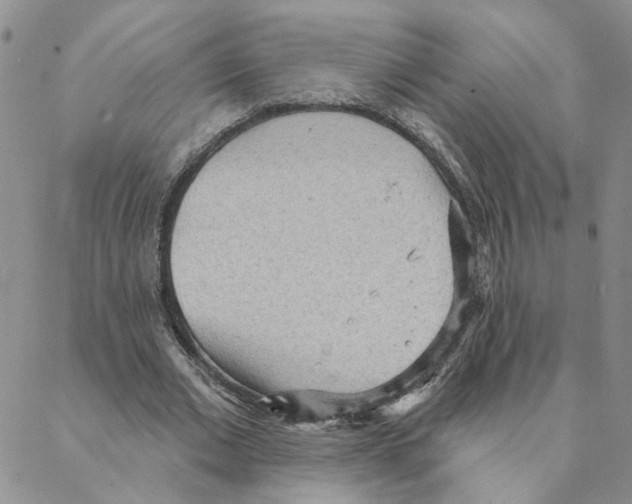 X0000088180677200706121651