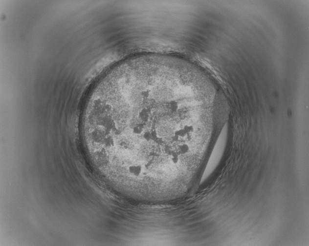 X0000088180679200706121651