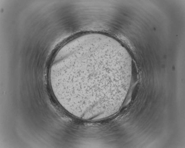 X0000088180680200706121651