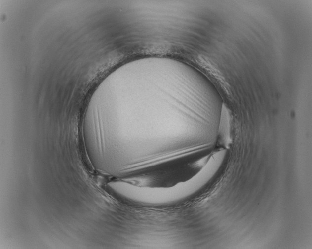 X0000088180681200706121651