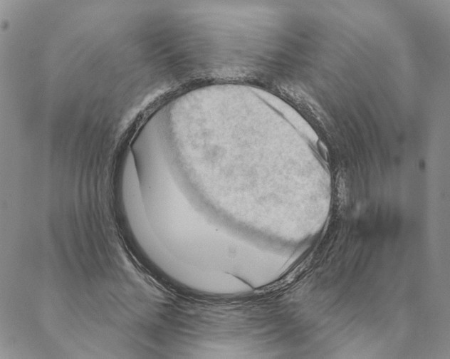 X0000088180684200706121651