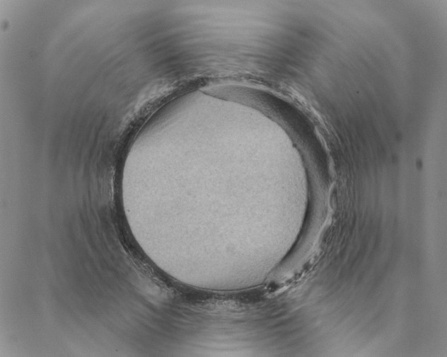 X0000088180685200706121651