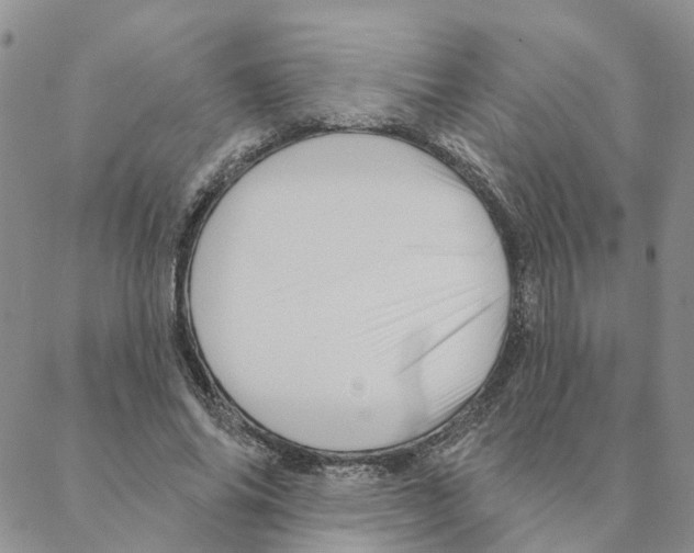 X0000088180686200706121651