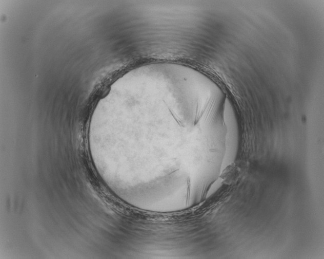 X0000088180688200706121651