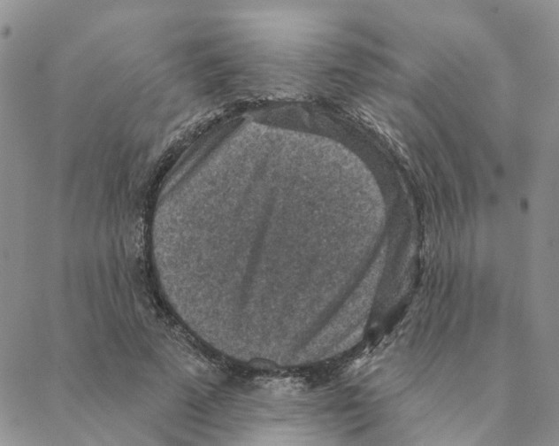 X0000088180689200706121651