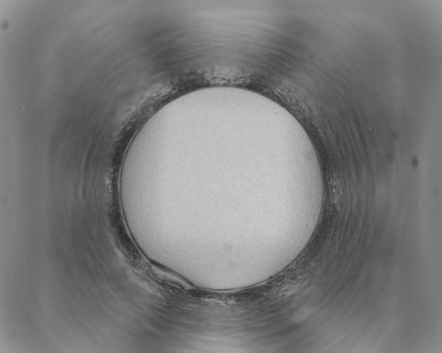 X0000088180690200706121651