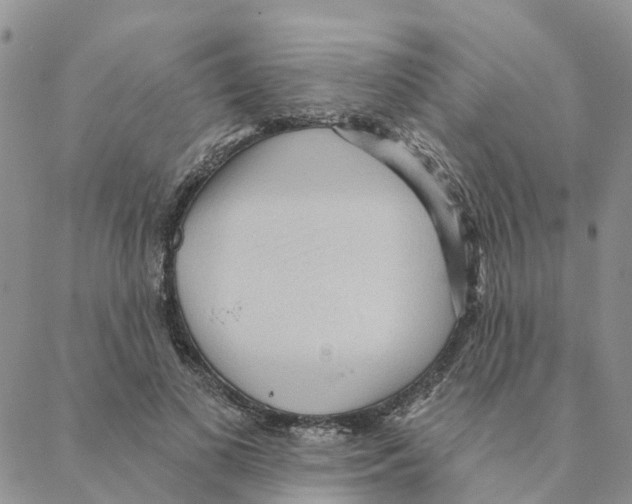 X0000088180693200706121651