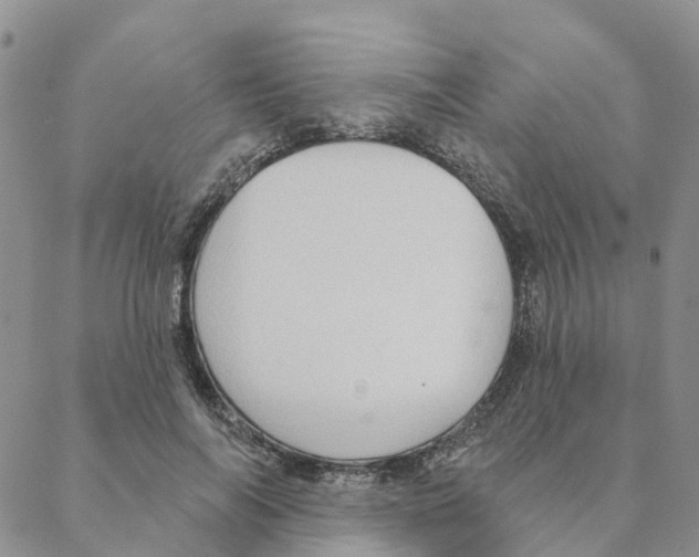 X0000088180694200706121651