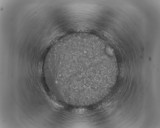 X0000088180695200706121651