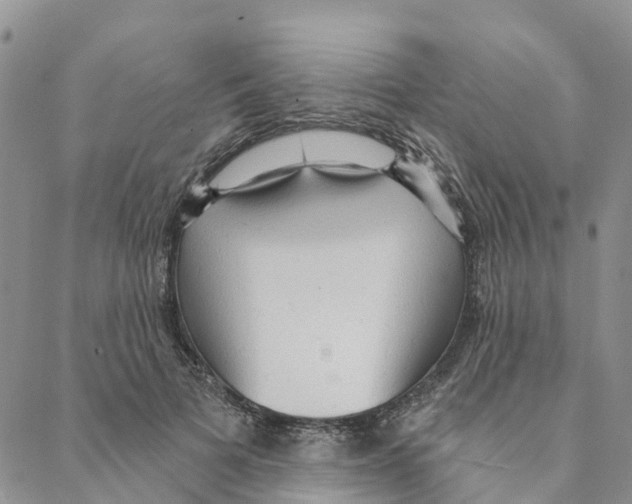 X0000088180697200706121651