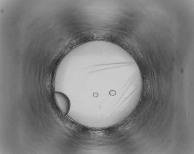 X0000088180698200706121651