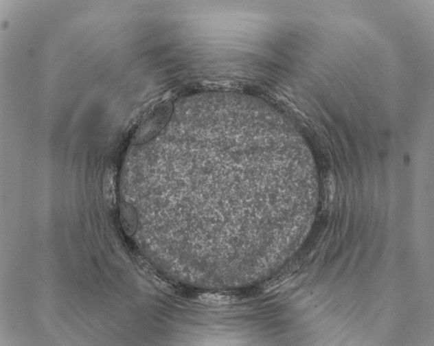 X0000088180699200706121651