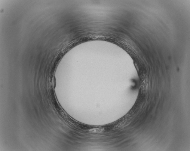 X0000088180700200706121651