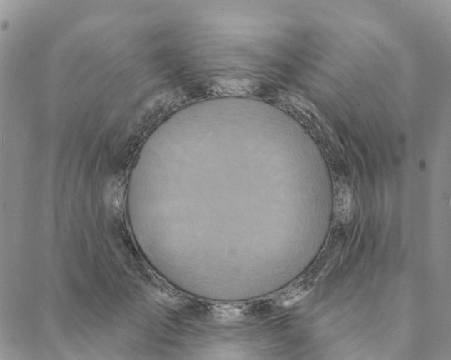 X0000088180701200706121651