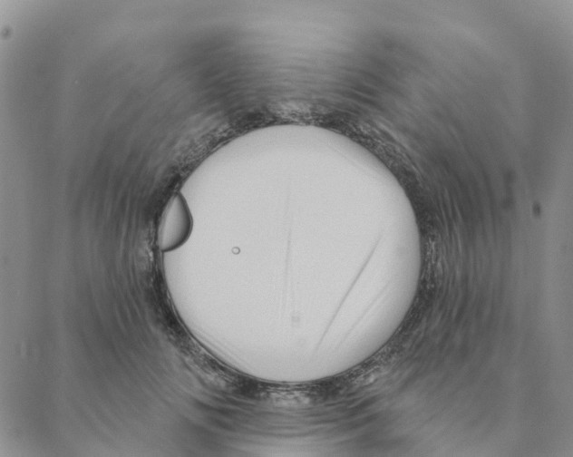 X0000088180702200706121651