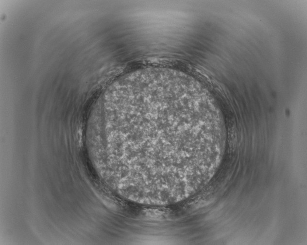 X0000088180703200706121651