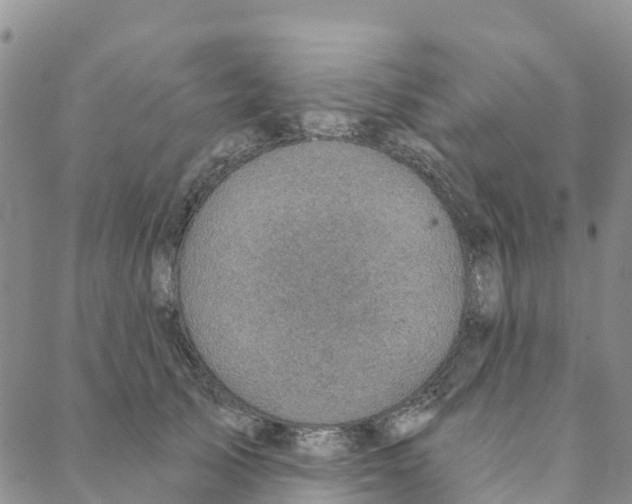 X0000088180705200706121651