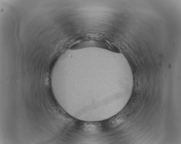 X0000088180706200706121651