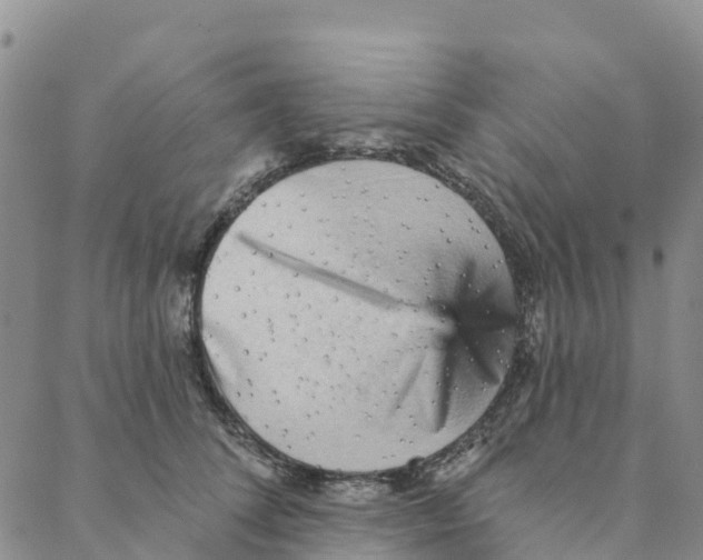 X0000088180708200706121651