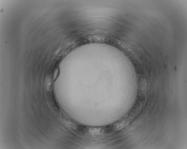 X0000088180709200706121651