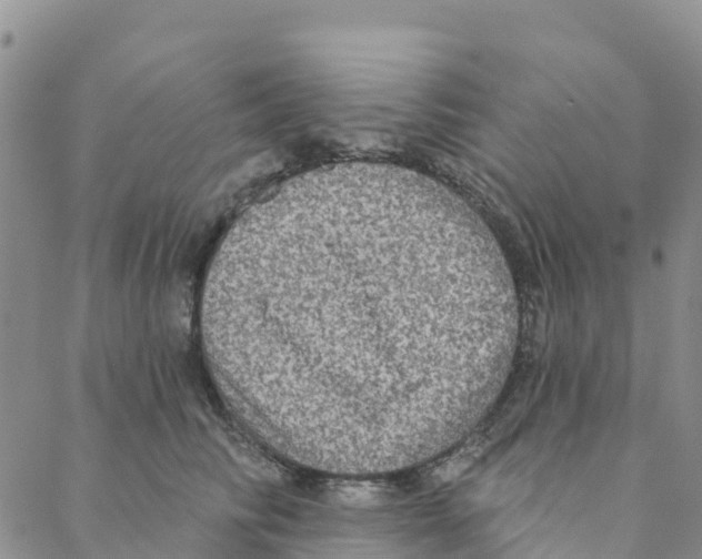 X0000088180710200706121651