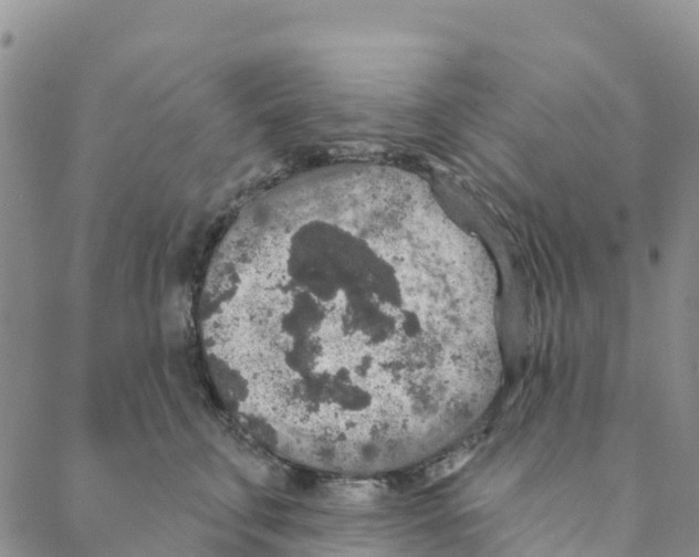 X0000088180711200706121651