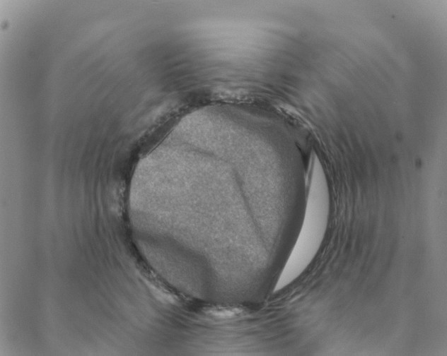 X0000088180712200706121651