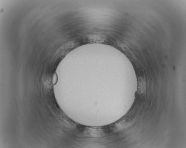 X0000088180713200706121651