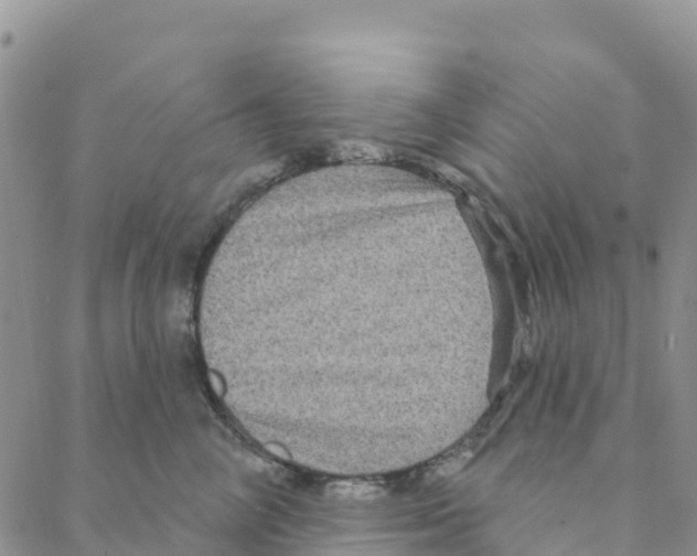 X0000088180714200706121651