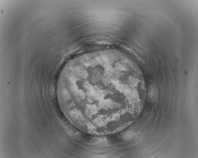 X0000088180715200706121651