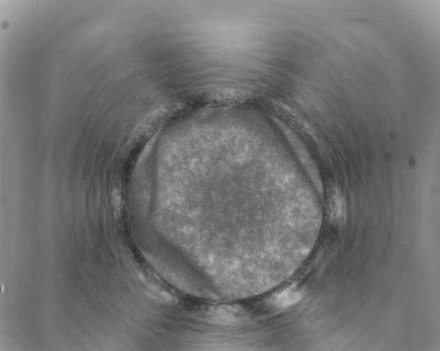 X0000088180716200706121651