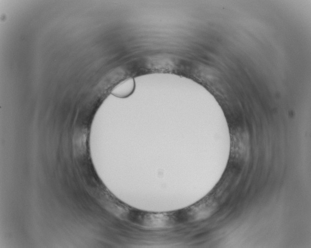 X0000088180717200706121651