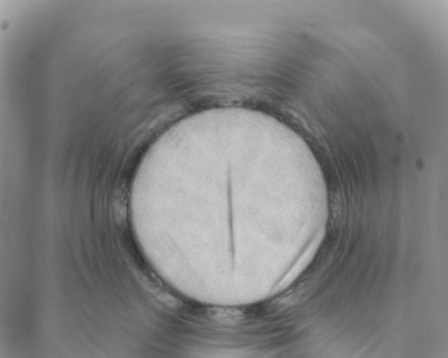 X0000088180719200706121651