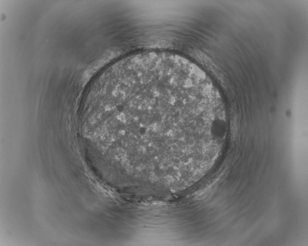 X0000088180721200706121650