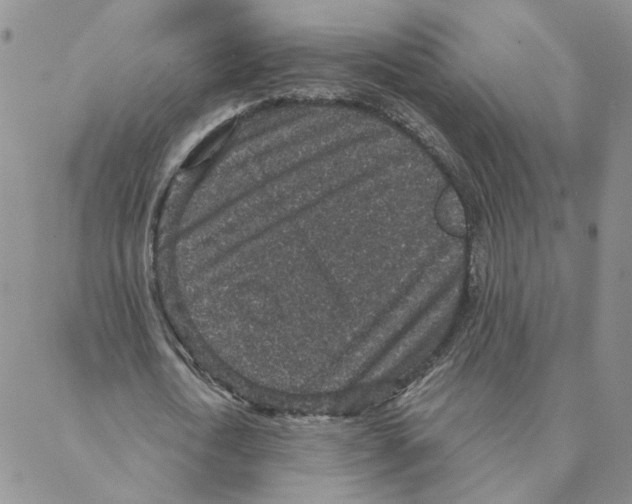 X0000088180722200706121650