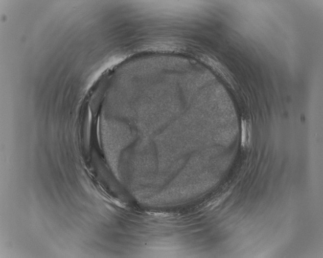 X0000088180723200706121650