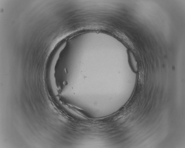 X0000088180724200706121650