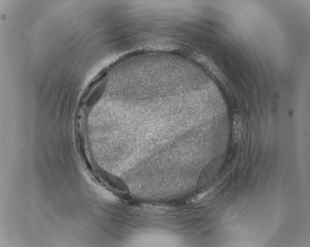 X0000088180726200706121650