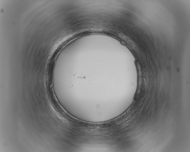 X0000088180728200706121650